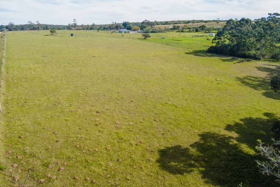 0 Bedroom Property for Sale in Alexandria Eastern Cape